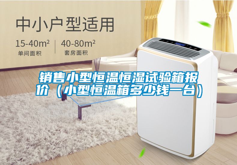 銷售小型恒溫恒濕試驗(yàn)箱報價(小型恒溫箱多少錢一臺)