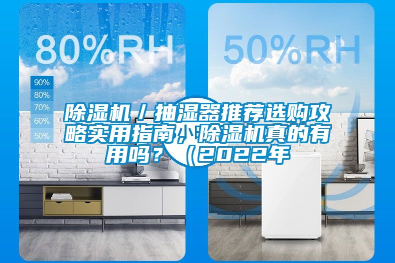 除濕機(jī)／抽濕器推薦選購攻略實(shí)用指南，除濕機(jī)真的有用嗎？（2022年