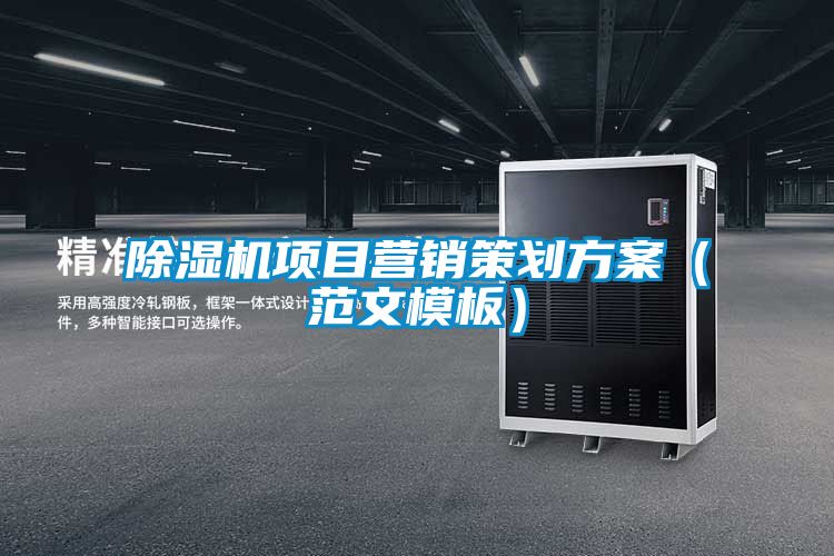 除濕機項目營銷策劃方案(范文模板)