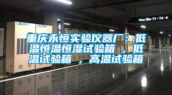 重慶永恒實驗儀器廠:低溫恒溫恒濕試驗箱 , 低溫試驗箱 , 高溫試驗箱