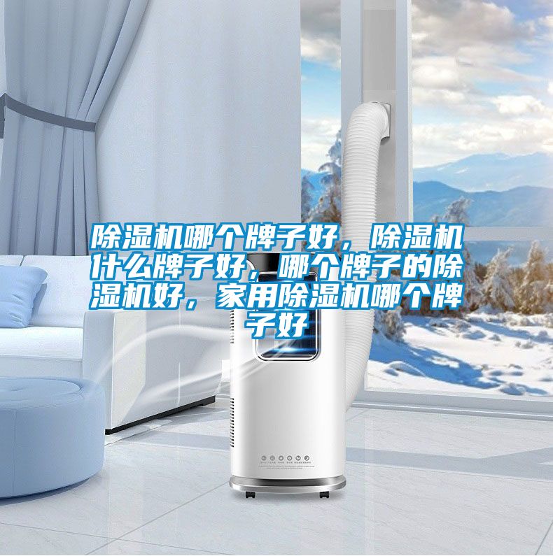 除濕機哪個牌子好,除濕機什么牌子好,哪個牌子的除濕機好,家用除濕機哪個牌子好