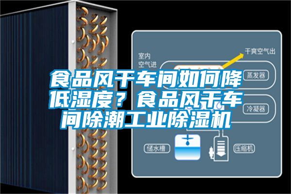 食品風(fēng)干車間如何降低濕度?食品風(fēng)干車間除潮工業(yè)除濕機(jī)