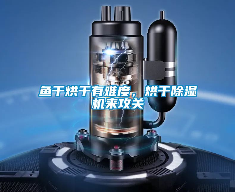 魚干烘干有難度,烘干除濕機來攻關