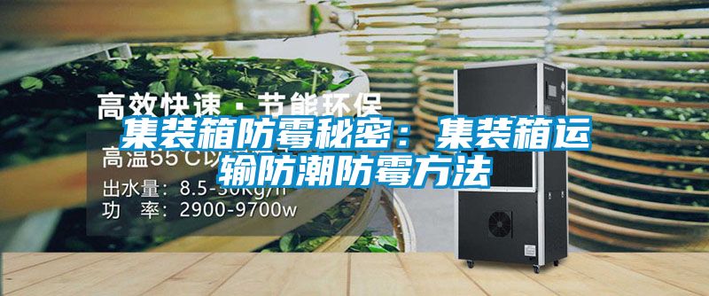 集裝箱防霉秘密:集裝箱運輸防潮防霉方法